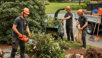 Shrub removal service in Tampa, FL for safely clearing overgrown shrubs from a residential property